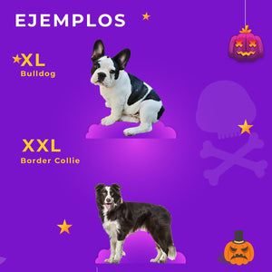 Disfraz Chuky Para Mascotas Traje