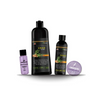 Shampoo Chao Canas Tratamiento + Obsequio