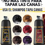 Shampoo Chao Canas Tratamiento + Obsequio