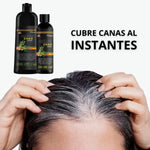 Shampoo Chao Canas Tratamiento + Obsequio