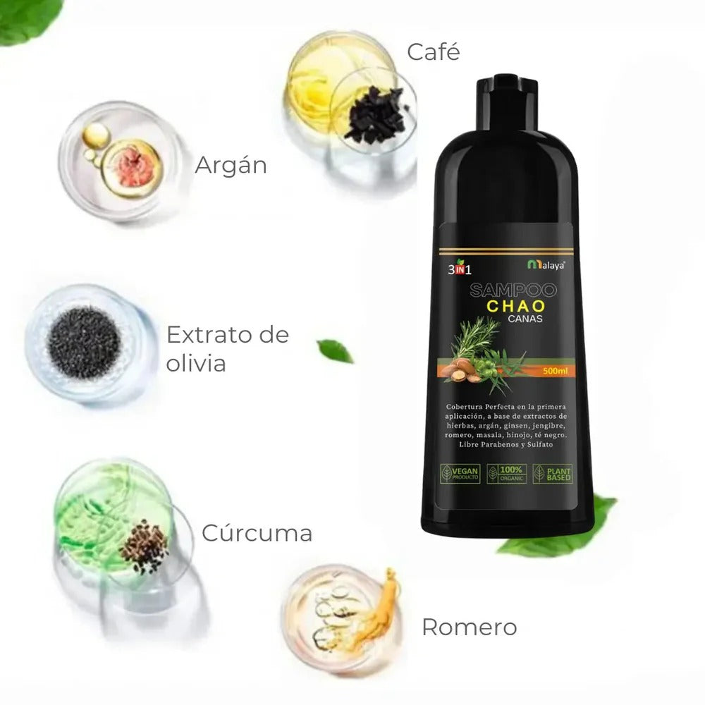 Shampoo Chao Canas Tratamiento + Obsequio